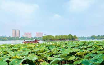 betway(中国)唯一官方网站