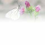 betway(中国)唯一官方网站