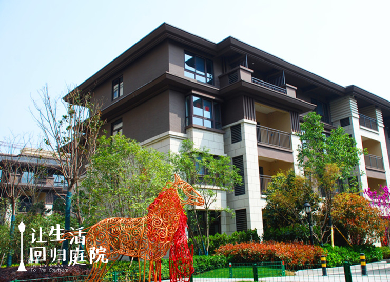 前后张望南阳50年：这样的天井，很难再有了！