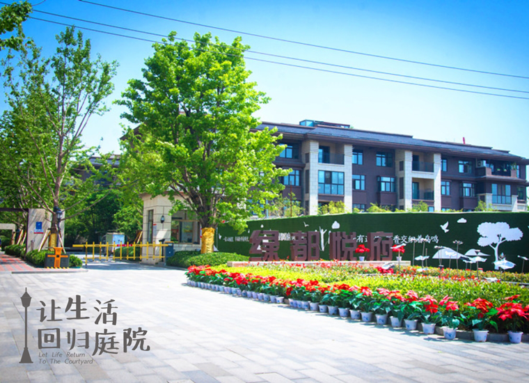 前后张望南阳50年：这样的天井，很难再有了！