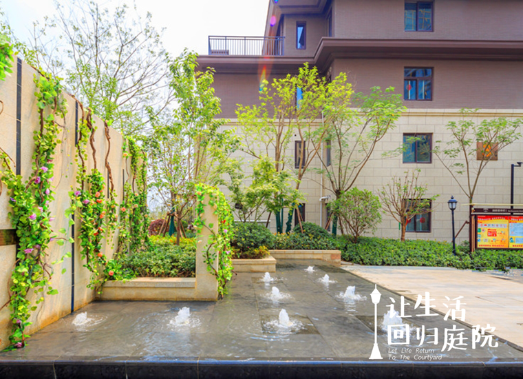 前后张望南阳50年：这样的天井，很难再有了！