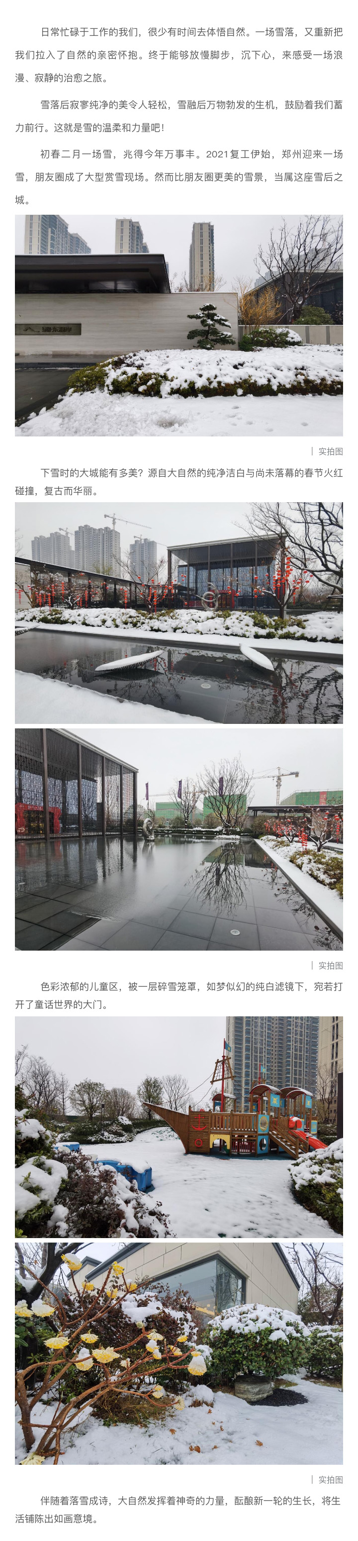 2021浪漫开年，共赏一场鹅毛大雪！