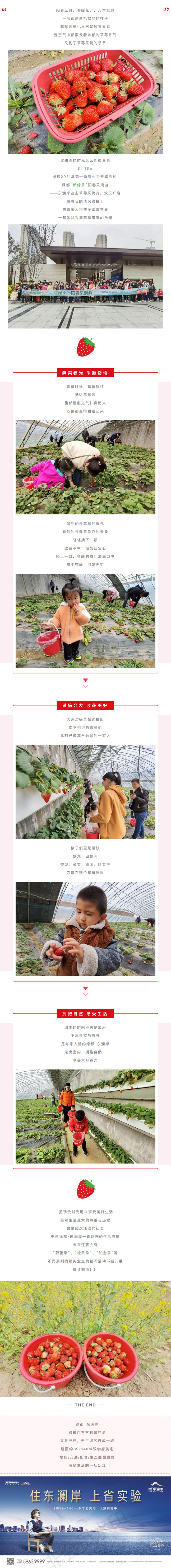 草莓采摘行|“莓”好同业，不负春日好时光