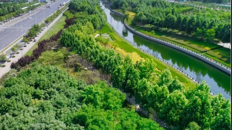 定了！“神兽”线上开学，家里有学生的必看！