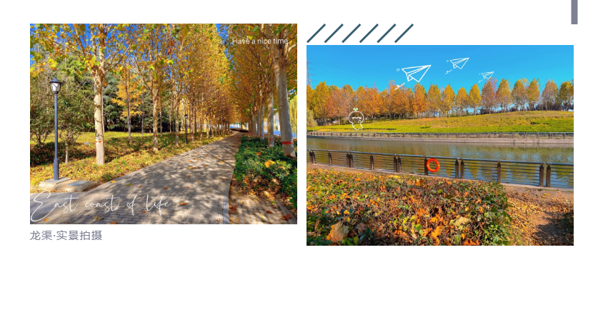 钜惠即止，捡漏经开超人气明星热盘！