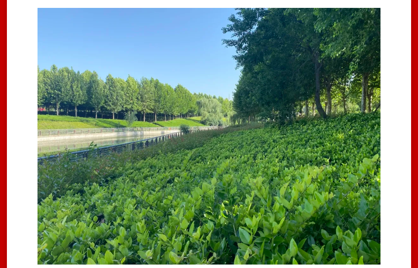 年终薅好房，这个明星红盘把“出圈”进行到底！